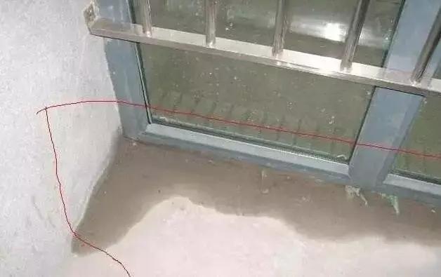 1736083531825906.jpg